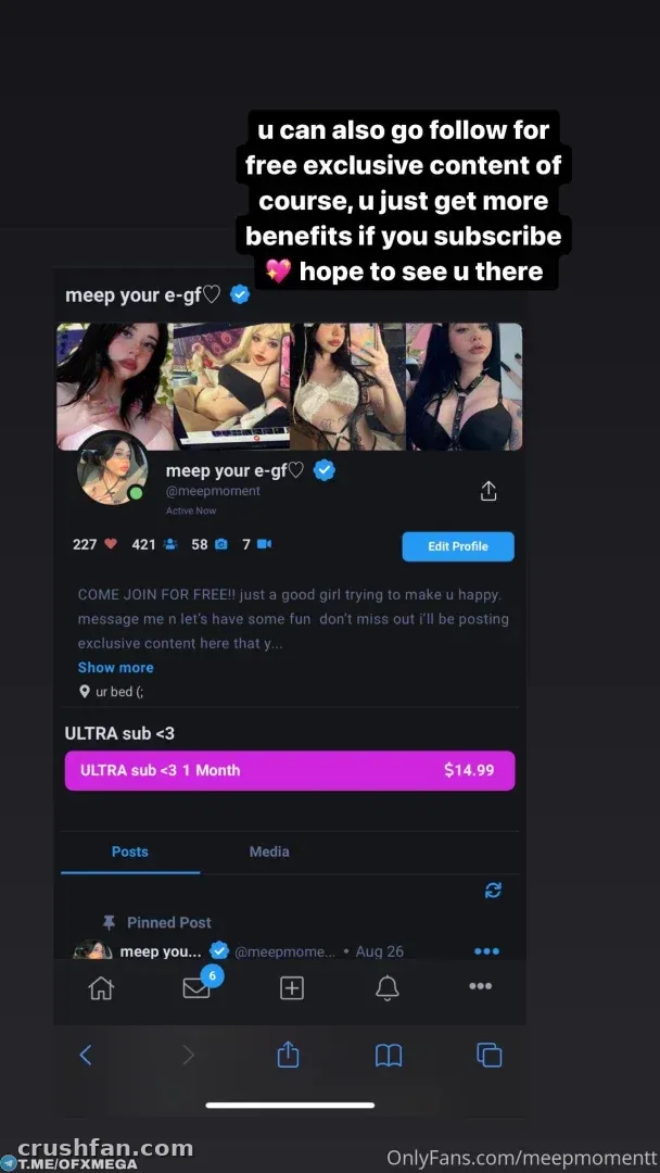 Screenshot of a creator profile page with pink subscription banner and text overlay