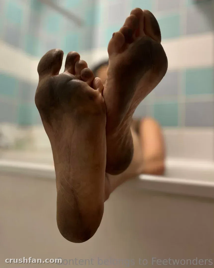 Vue rapprochée de plantes nues levées devant des carreaux de salle de bain bleus et blancs
