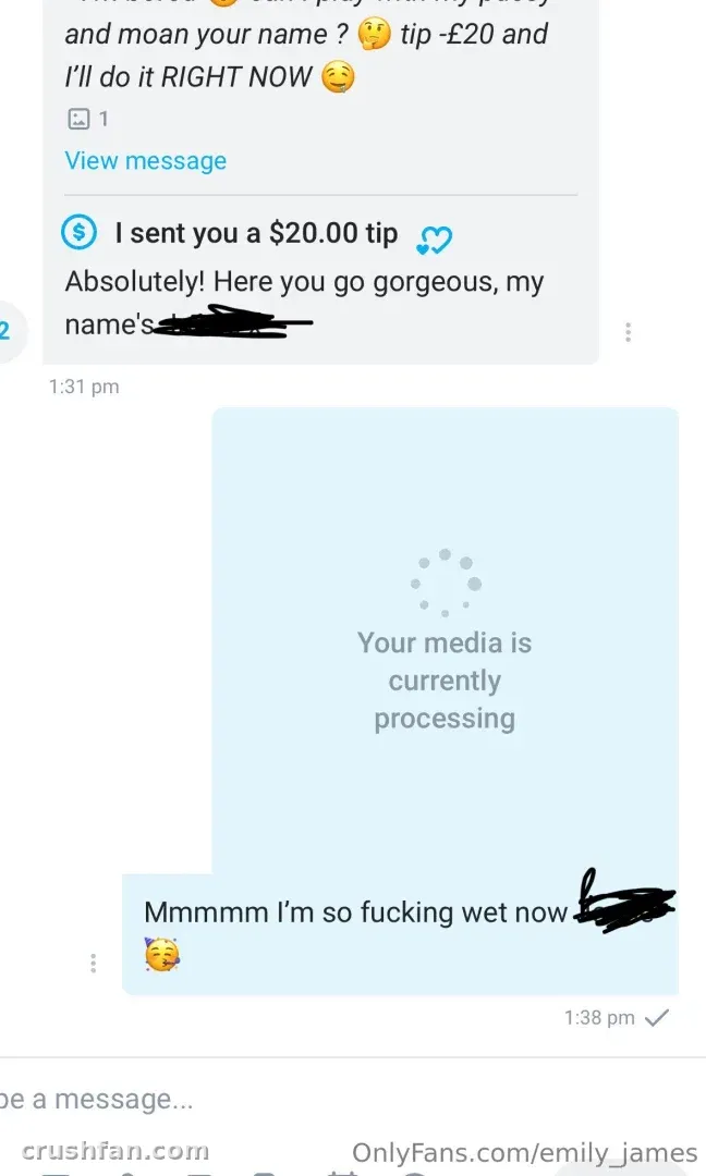 Screenshot of a private chat interface with blue bubbles and redacted text.