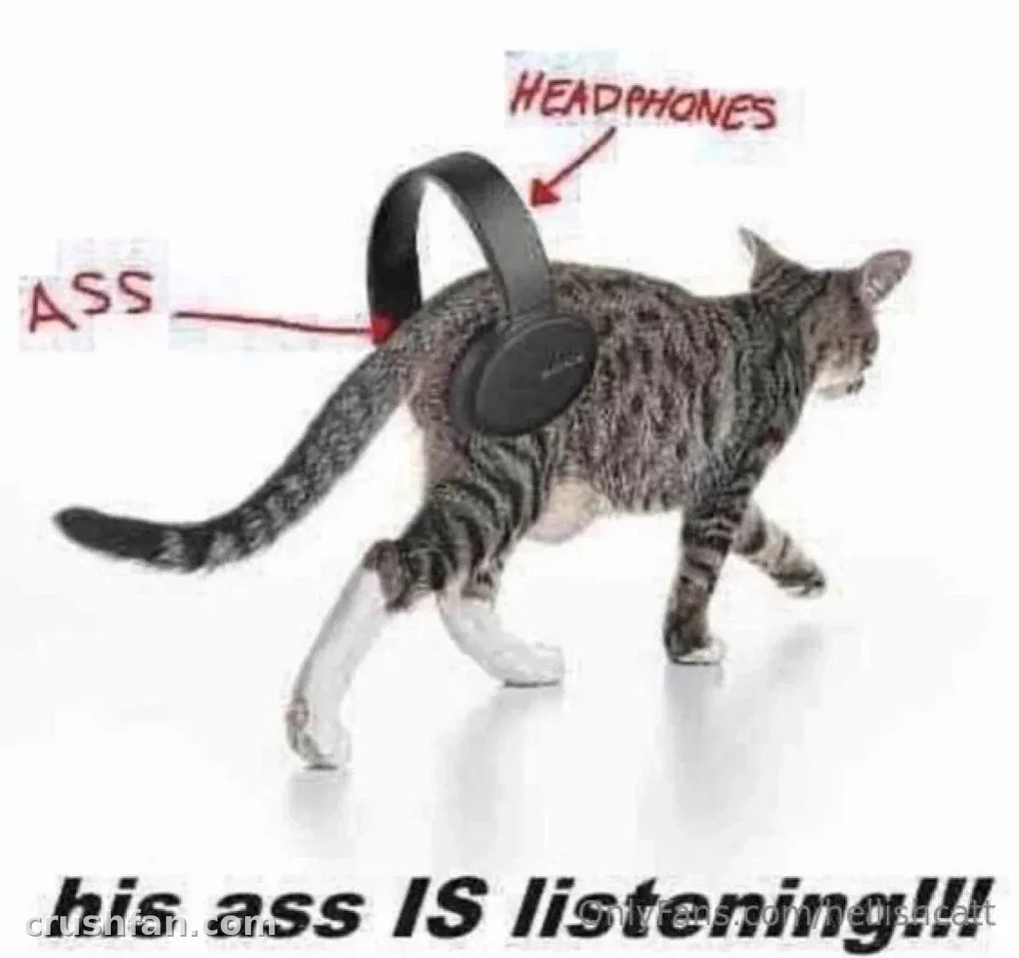 Tabby cat walking with black headphones on its back and red handwritten labels