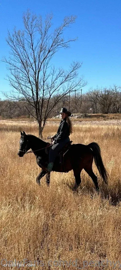 Dee Jacobs in a black hat riding a dark horse through tall golden grass under a blue sky.