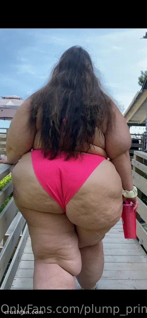 Plump Princess in a pink bikini standing on a wooden boardwalk under a cloudy sky