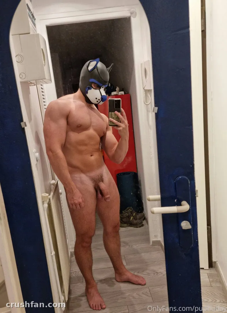 PupBuday in a puppy mask taking a mirror selfie indoors
