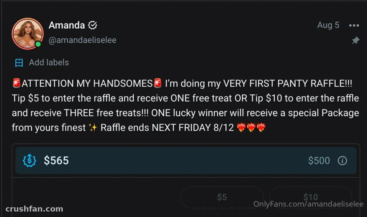 Screenshot of a social media post by Amanda Elise Lee announcing a raffle with tip options and a progress bar.