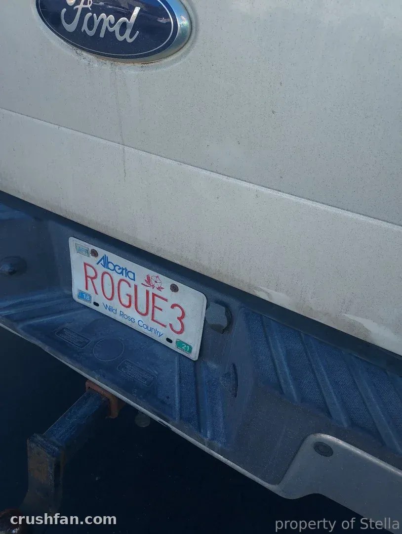 Close-up of a white vehicle's rear with a blue oval emblem and a license plate.