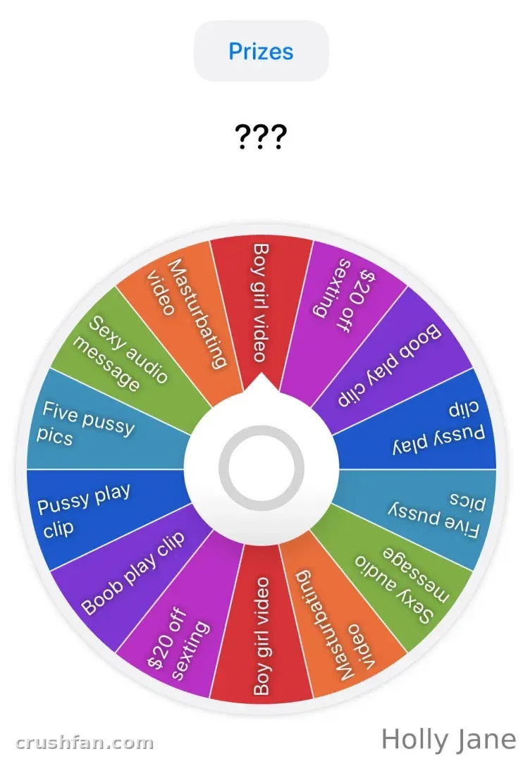 Graphique coloré de roue de prix avec des étiquettes et le nom Holly Jane.
