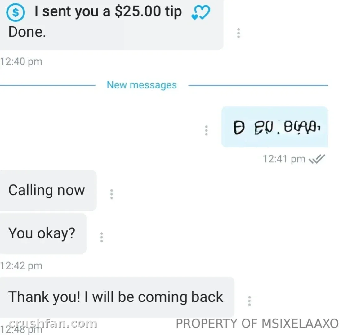 Close-up of a messaging conversation with a tip confirmation and short replies