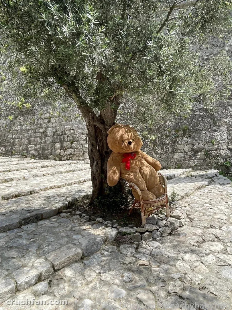Un osito de peluche marrón con un lazo rojo está sentado junto a un árbol en un patio de piedra.