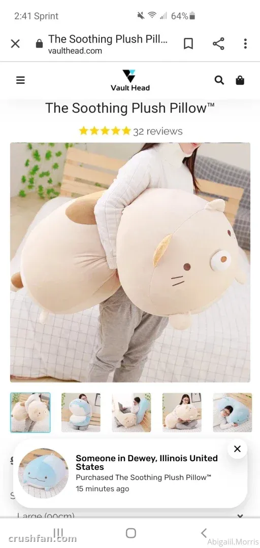 Screenshot of an online store page for a large plush pillow with product photos and reviews.