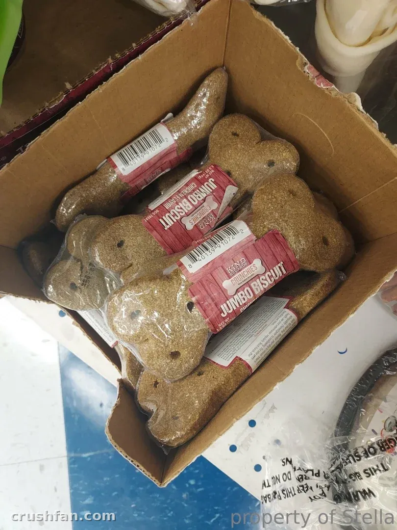 Stella Aeternum avec une boîte de biscuits pour chien emballés sur une surface bleue
