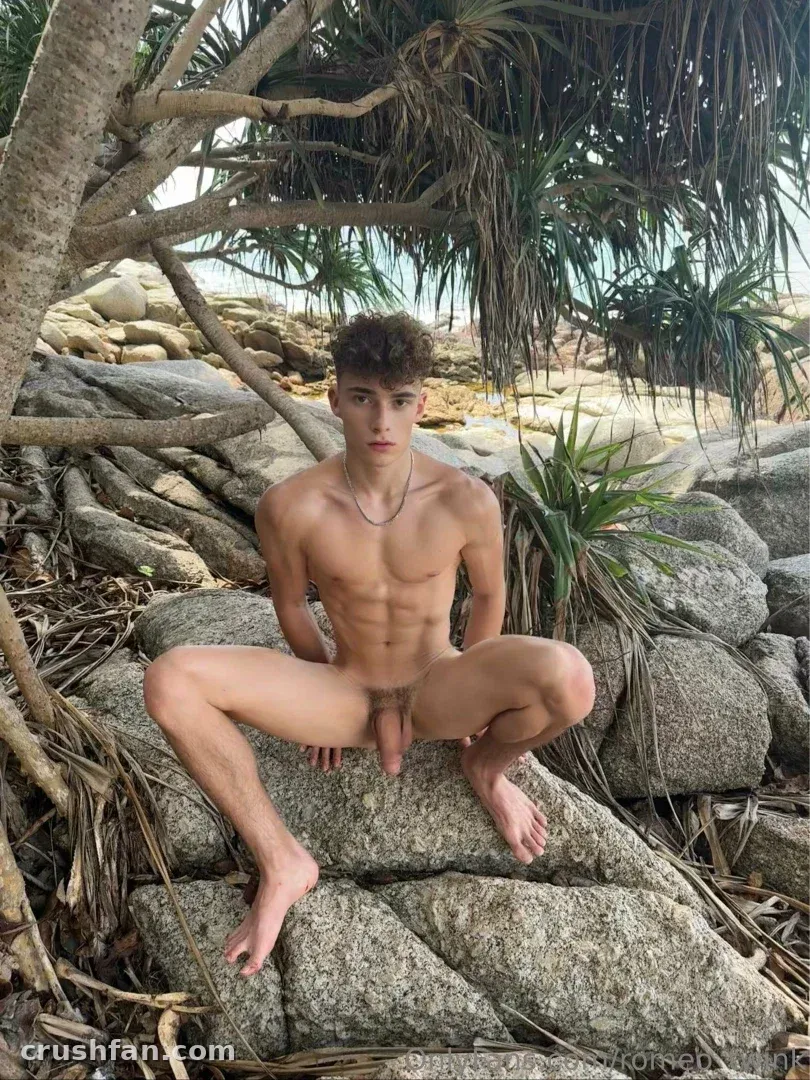 Romeo seated on grey coastal rocks beneath palm fronds in soft daylight