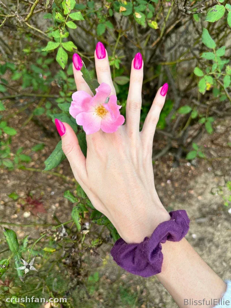 Hand with pink nails holding a pink blossom against green garden leaves