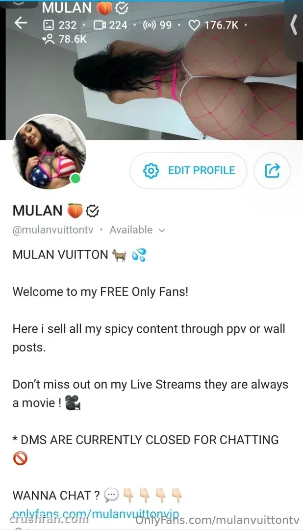 Mulan Vuitton VIP profile page showing pink lingerie and social media stats
