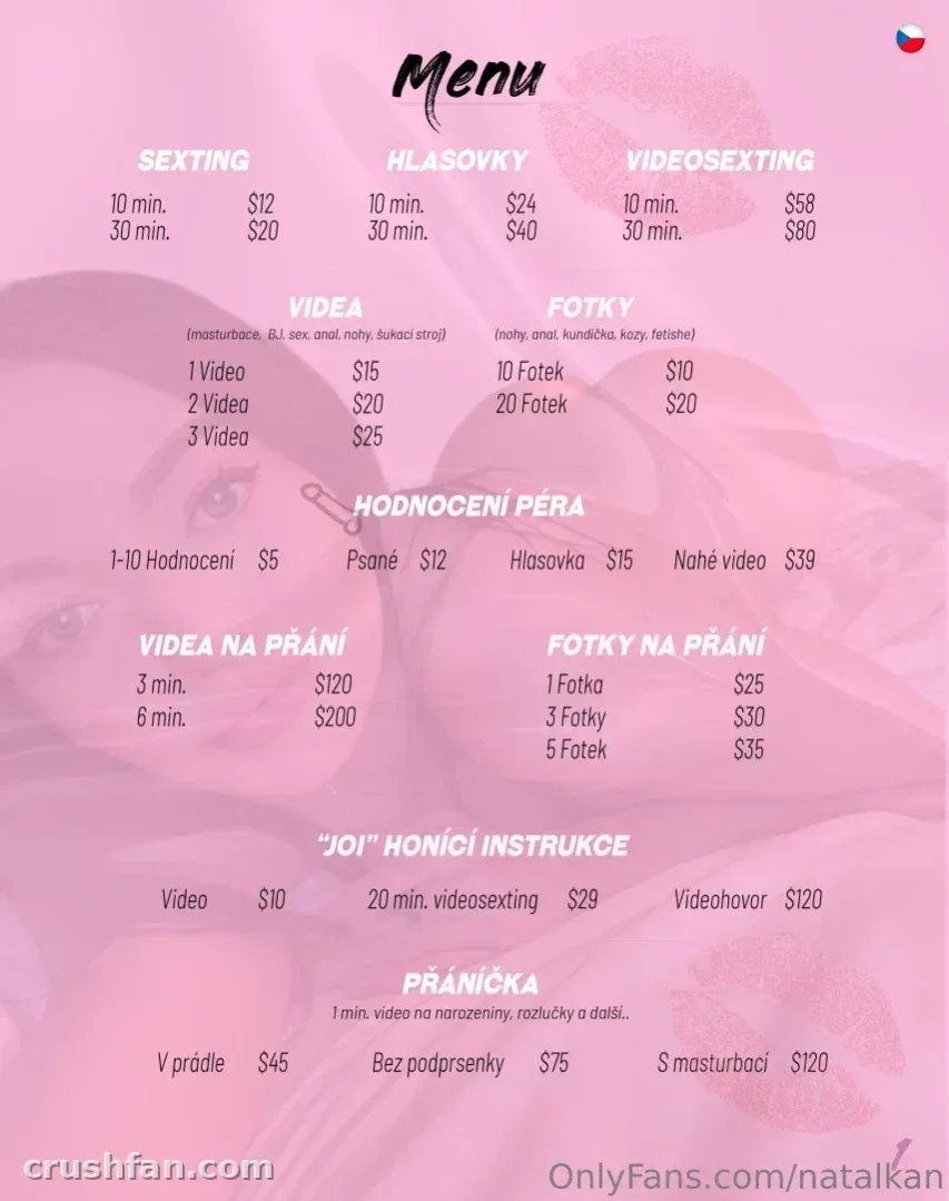 Gráfico de tabela de preços rosa com categorias de serviços e preços em dólares