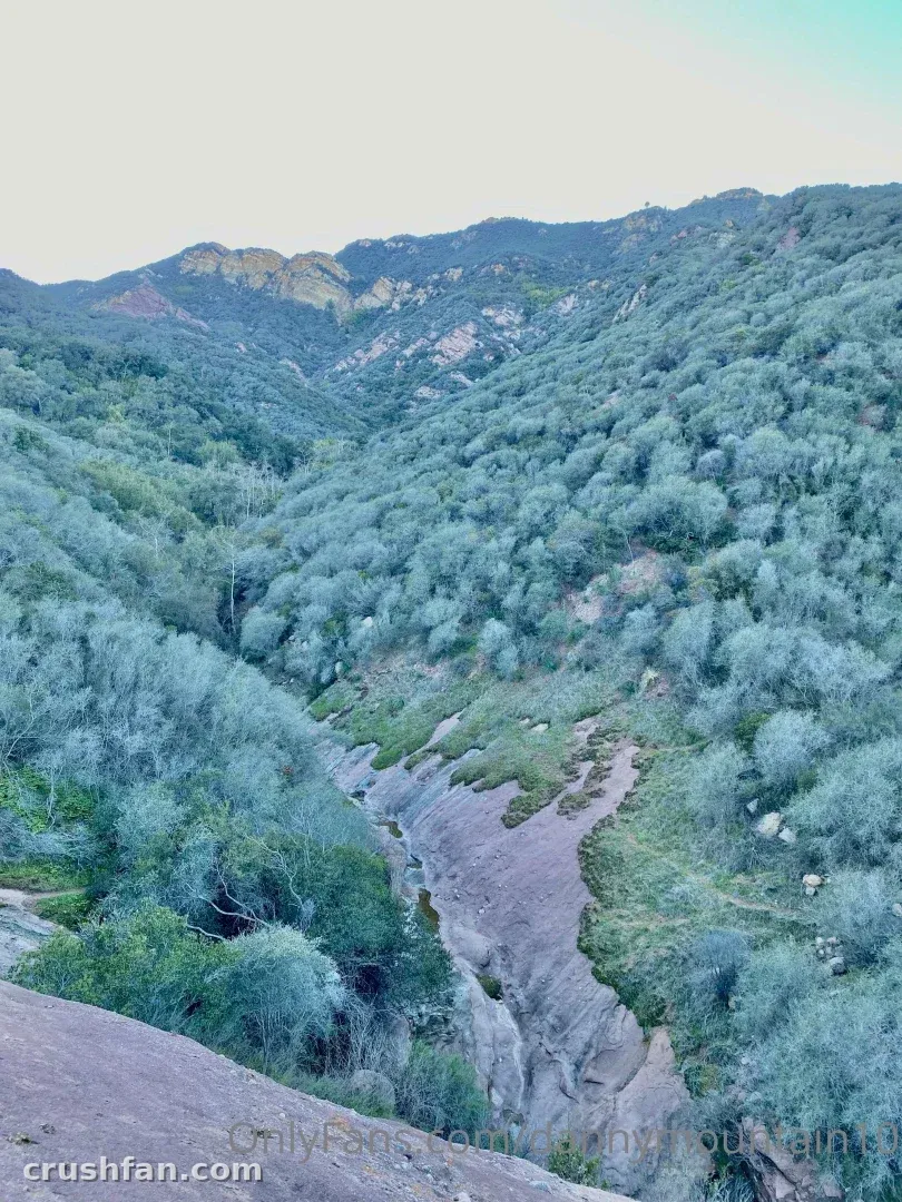Vale montanhoso verde com um caminho rochoso serpenteando por vegetação densa