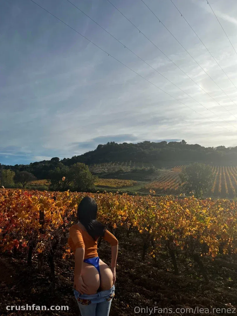 Mulher de blusa laranja e jeans em um vinhedo de outono iluminado pelo sol, de costas para a câmera
