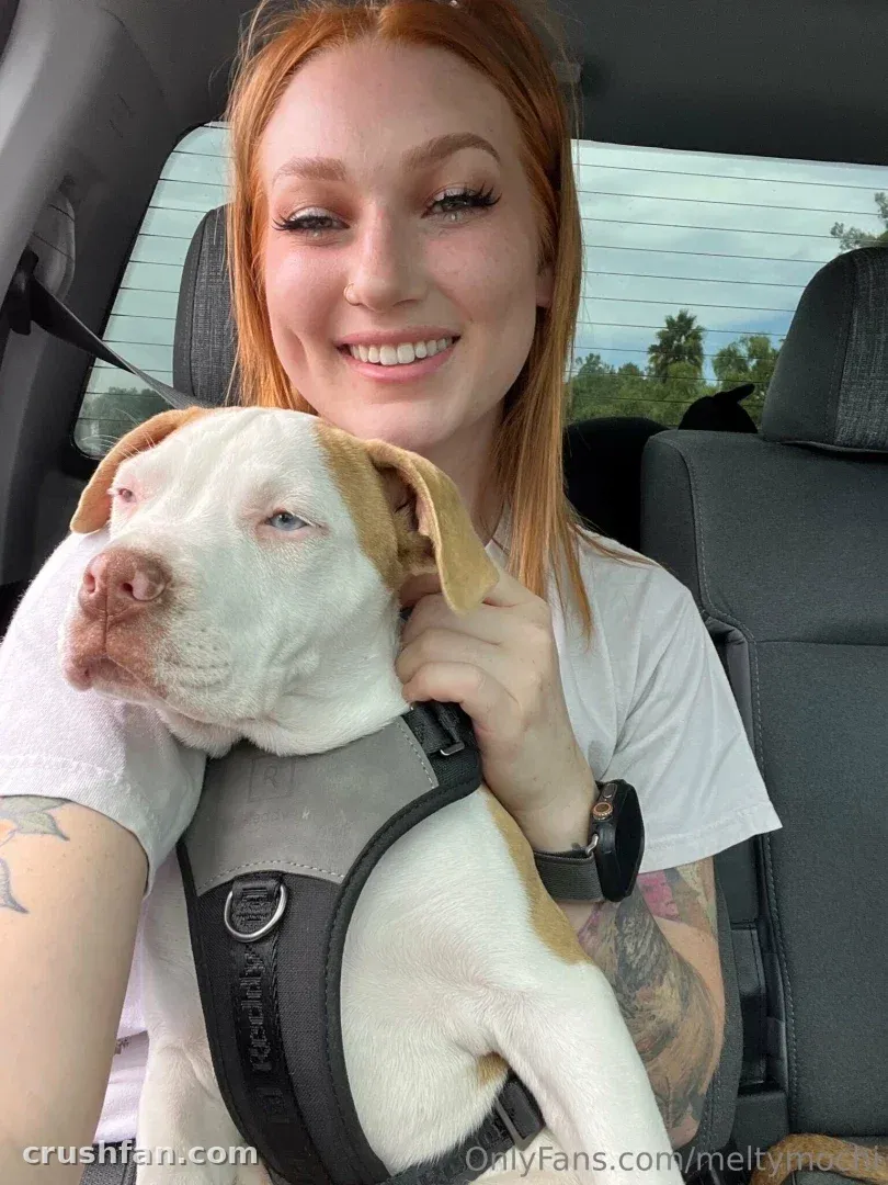 Mulher sorridente de cabelo vermelho em um carro segurando um cachorro branco e marrom com um peitoral cinza