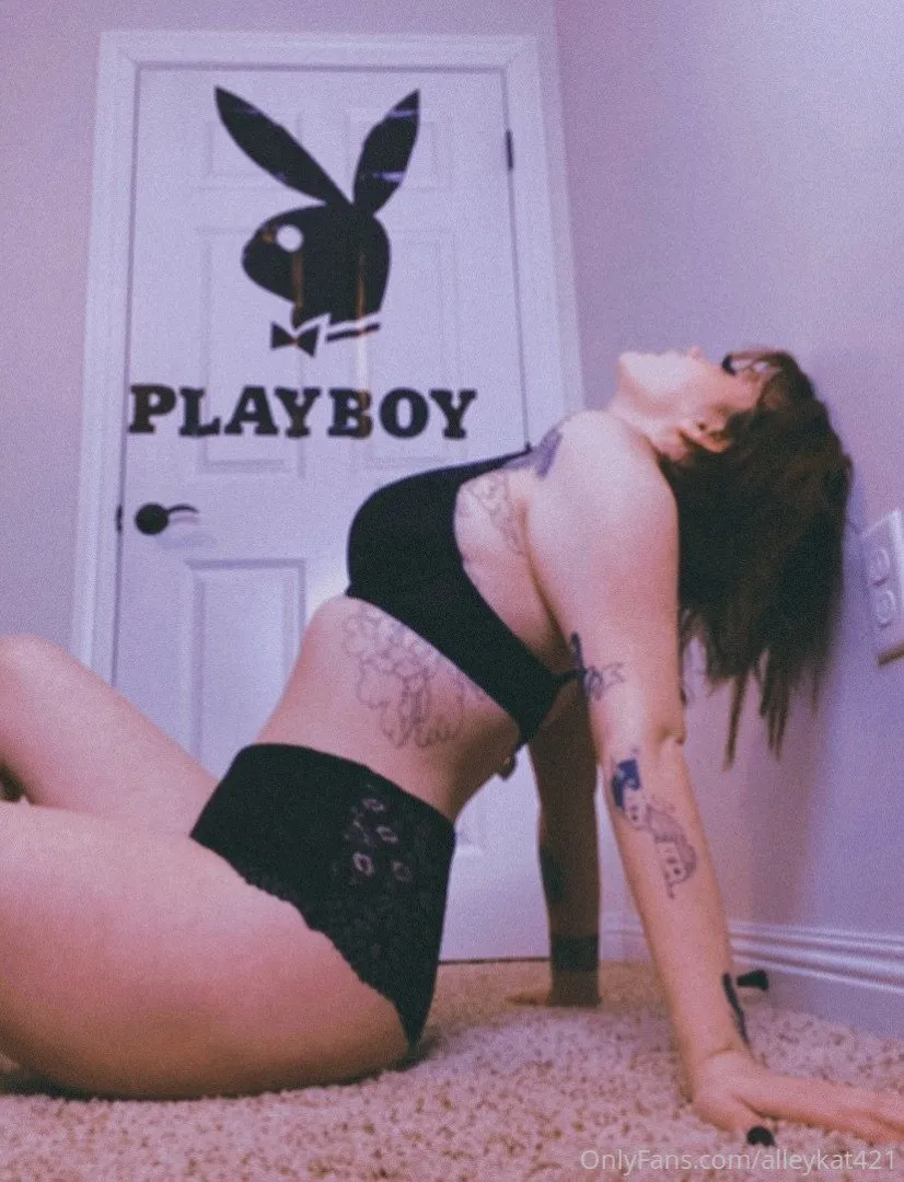 Alley Kat sits on a carpet in black lingerie in front of a white door with a rabbit logo.